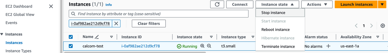 Stopping the Cal.com EC2 instance