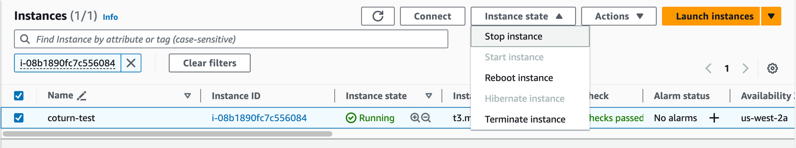 Coturn Developer Guide