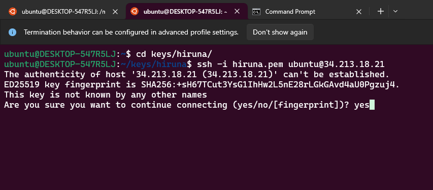 Terminal running ssh -i to connect to the vLLM EC2 instance, prompting to confirm the host's authenticity before connecting