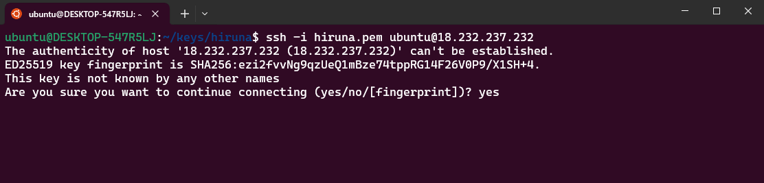Terminal SSH session showing the host key fingerprint prompt for a second vLLM instance before connecting