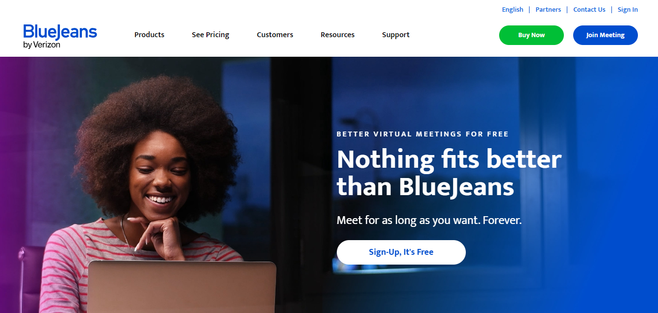 Blue Jeans Virtual Meeting Interface
